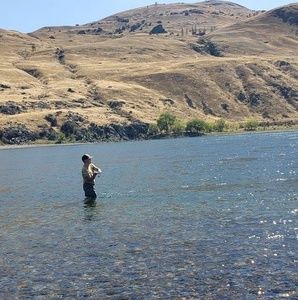 Meet your Posher, Don